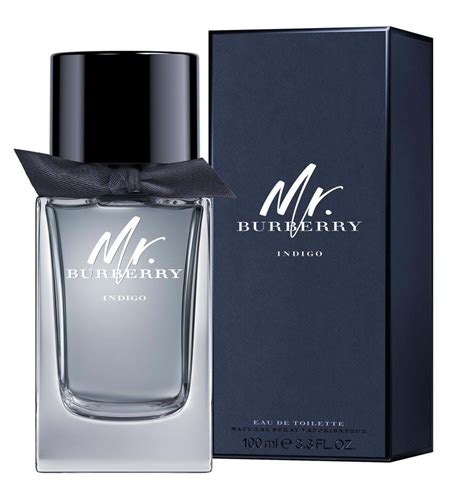 mr burberry men perfume|burberry original perfume 50ml.